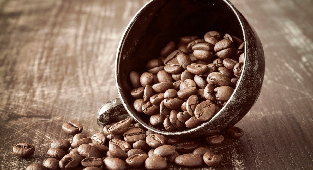 Koffiebonen aanbieding vergelijken - ontdek de laagste prijs op koffiekorting.com ontdek welke koffiebonen niet vet zijn. de laagste prijs voor je koffie vind je op koffiekorting.com